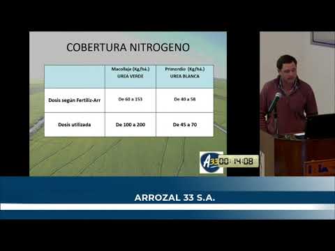 Taller de la zafra de arroz 2022-2023 - Arrozal 33