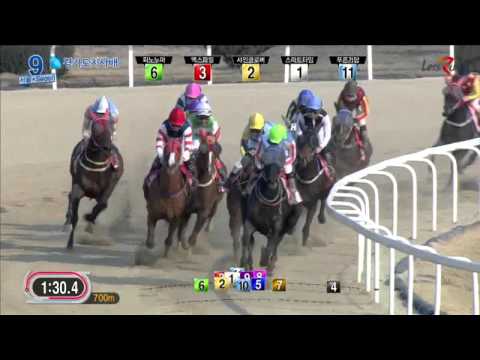 2016 Gyeonggi Governor's Cup (US$300,000) (KOR G3 - Korean bred F&M only)