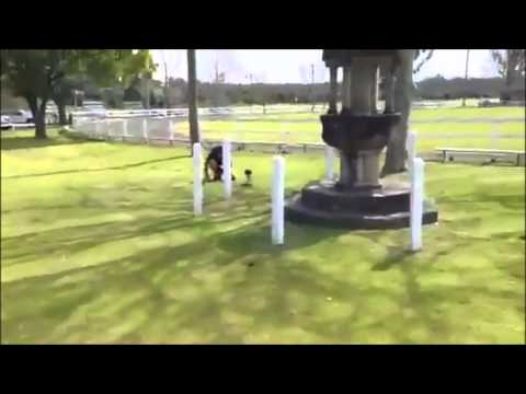 #6 "Metal detecting" and "bottle digging '' sydney Australia 1911 florin