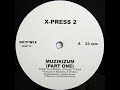 X Press 2 - Muzikizum (Original Mix)