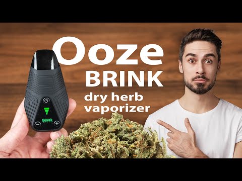 Ooze Brink Review- best dry herb vape under $100?