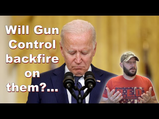 Media warns Dems... Gun Control WILL hurt them MORE in the midterms...