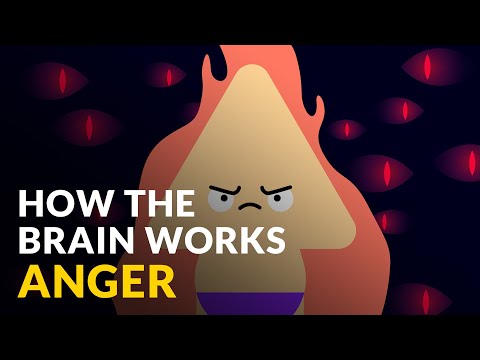 How The Brain Works With Anger