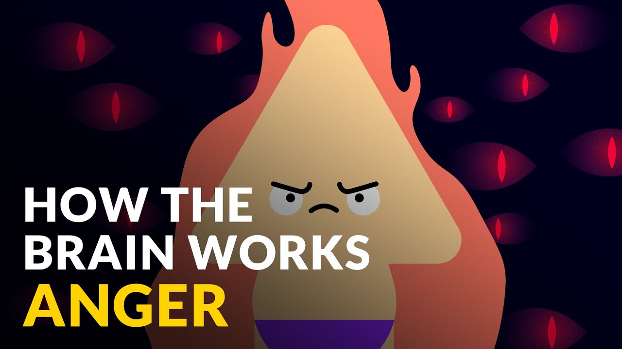 How The Brain Works With Anger