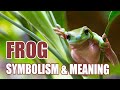 Frog Symbolism & Meaning: Spirit, Totem, & Power Animal - Sign Meaning