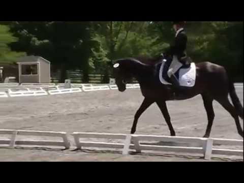 ScherzoDiNotte YEH Dsg Waredaca