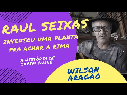 Wilson Aragão, Raul Seixas e a história de CAPIM GUINÉ!