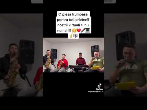 formația Cătălin Ștefan live