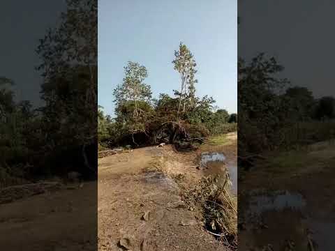 Rio Cabaçal - Reserva do Cabaçal Mato Grosso