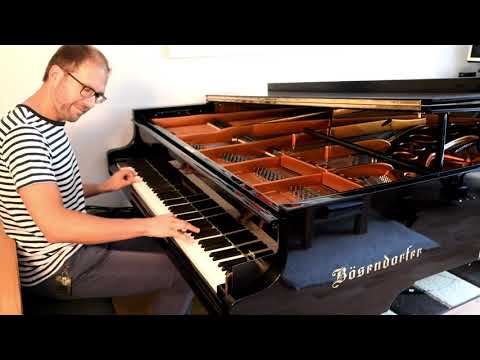 Corona Shuffle - Stefan Ulbricht