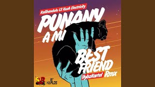 Punany a Mi Best Friend (Kalibandulu X Kush Electricity Remix)