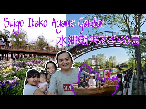 Suigo Itako Ayame (Iris) Garden [Itako City, Japan 2020]  -   水郷潮来あやめ園  [潮来市, 日本 2020]