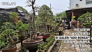 Download lagu REVIEW OF THE COLLECTION AT THE 'ADO BONSAI' GALLERY IN THE ELITE BINTARO AREA PART.1 (BKKB VOL.11) mp3