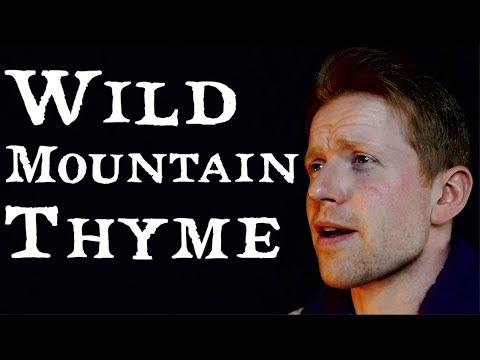 Wild Mountain Thyme (Will Ye Go Lassie Go) - (Cover) Colm R. McGuinness
