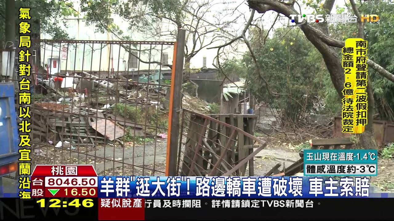 板金凹陷！車主調監視器　嫌犯竟是「羊」