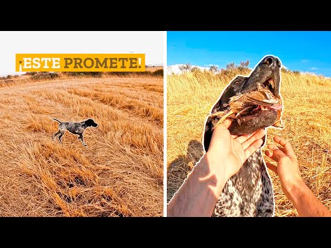 𝐌𝐮𝐜𝐡𝐚 𝐞𝐱𝐩𝐞𝐜𝐭𝐚𝐜𝐢ó𝐧 para esta Media Veda 2024