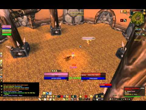 Holy Paladin/BM Hunter vs. Ret Paladin/Rogue 2v2 arena pvp Win