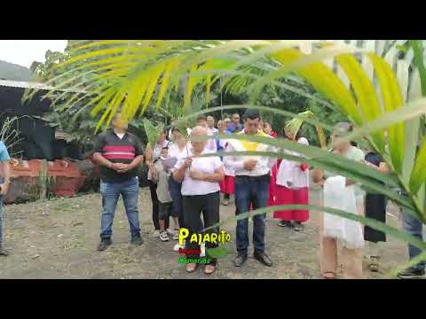 Domingo de Ramos (Parroquia de Pajarito Boyacá) (Marzo 29/2026)