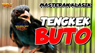 Download lagu TENGKEK BUTO GACOR DURASI TEMBAKAN PANJANG mp3