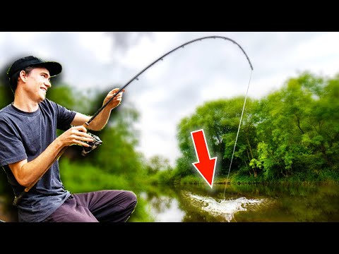 EPIC River Fishing! - Carl vs Alex Ep2 S2