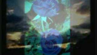 rick treviño, un  rayo de luz