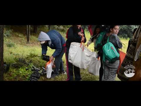 Experiencia Grafitintas Lima