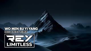 Download lagu Wo Men Bu Yi Yang [ReyLimitless Breakbeat Remix] mp3