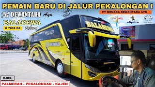 Download lagu PENDATANG BARU LAGI !! LINE PEKALONGAN SEMAKIN MEMANAS🔥 | Trip M Dewantara Ayu “ Baladewa “ mp3