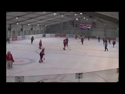 VUKOVI  VS CRVENA ZVEZDA U-14