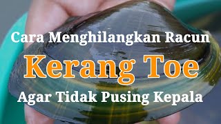 Download lagu Cara Mengolah Kerang Toe dan Membersihkan Racunnya mp3 Download lagu Cara Mengolah Kerang Toe dan Membersihkan Racunnya mp3