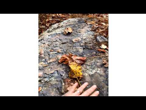 Part3 Pennsylvanian to Carmichaels