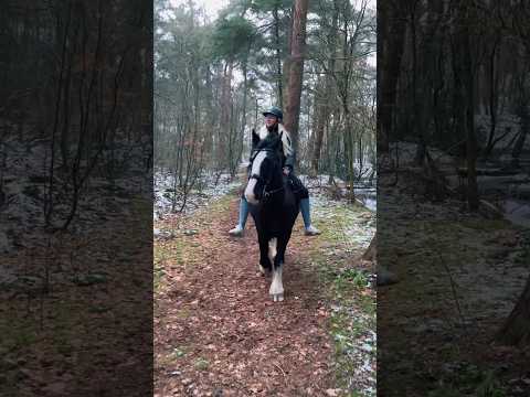 , title : '💜 #equestrian #pferde #shortsfeed #horse #shortvideo #asmrjanina #tinker #irishcob'
