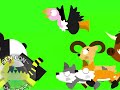 Leon And Tucaneon Animal Stampede