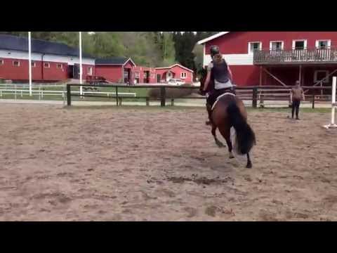 Walle o Maja på banan