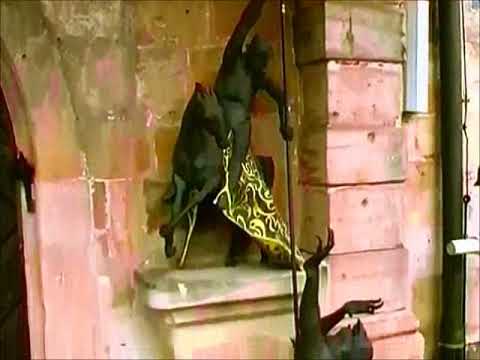 Sankt Georg in Effeltrich