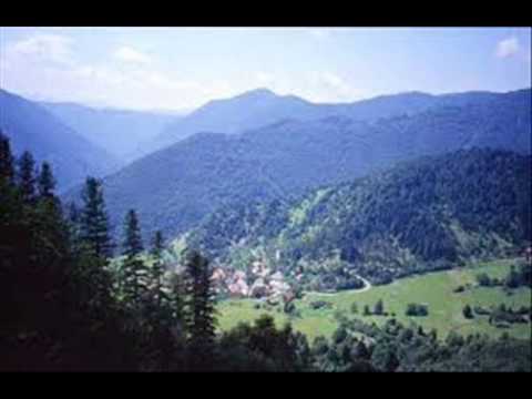 BREZ TEBE - balada, besedilo in glasba Janez Kolerič