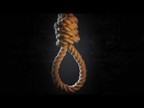 Bernard Cocolino Gang - PETLA