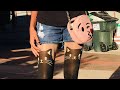Cat Tights In Downtown Schenectady