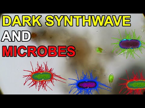 1 Hour of Microorganisms and Dystopian Dark Synthwave Music