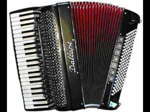 Navracic Band - Hora Bukurest i virtuozna harmonika