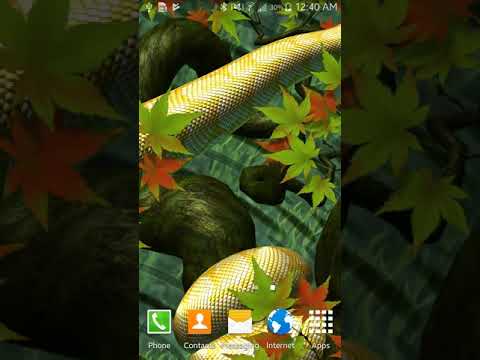 Snake Peek - 3D Snake Live Wallpapers Video