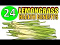 24 Health Benefits of LEMONGRASS including Hair, Skin & Weight Loss