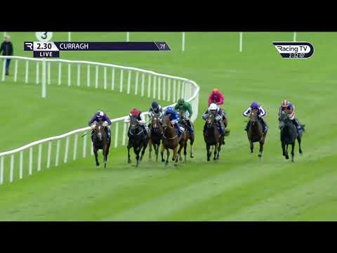 The Weld Park Stakes Group 3 - Concert Hall