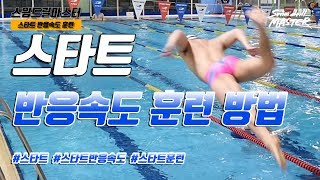 스윔 드릴 마스터 수영 - 스타트 반응속도 훈련 방법(Swimming Start Reaction Training)