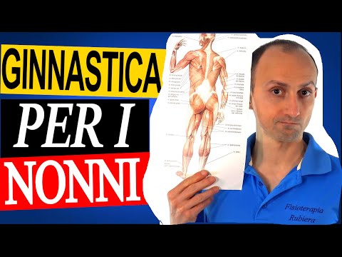 Gymnastics for Seniors: Full-Body Exercises to Do at Home