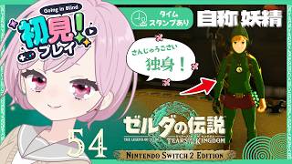 クライマックス間近！その前にミニチャレンジとか逝くますな九州の蛮族｜シリーズ完全初見【ゼルダの伝説 ティアーズ オブ ザ キングダム｜ティアキン｜TotK】#54
