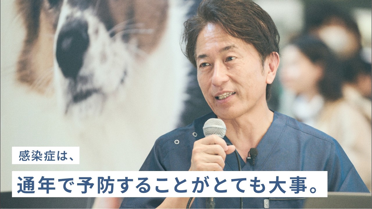 日本一動物にやさしい街をつくろうと活動する病院長が語る！知っておきたい保護犬猫の感染症と対策【パナソニック公式】