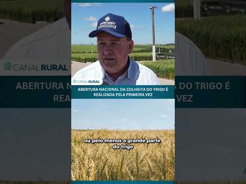 Abertura Nacional da Colheita do Trigo é realizada pela primeira vez