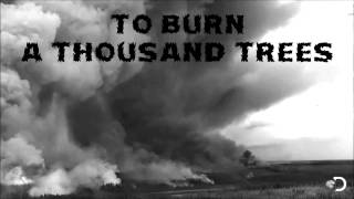 Stereophonics - A Thousand Trees - Lyrics