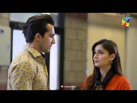 Tum Mein Insaniyat Hai...Aur Yeh Mein Ne Dil Se Mehsoos Kiya Hai - Beqadar - HUM TV Drama